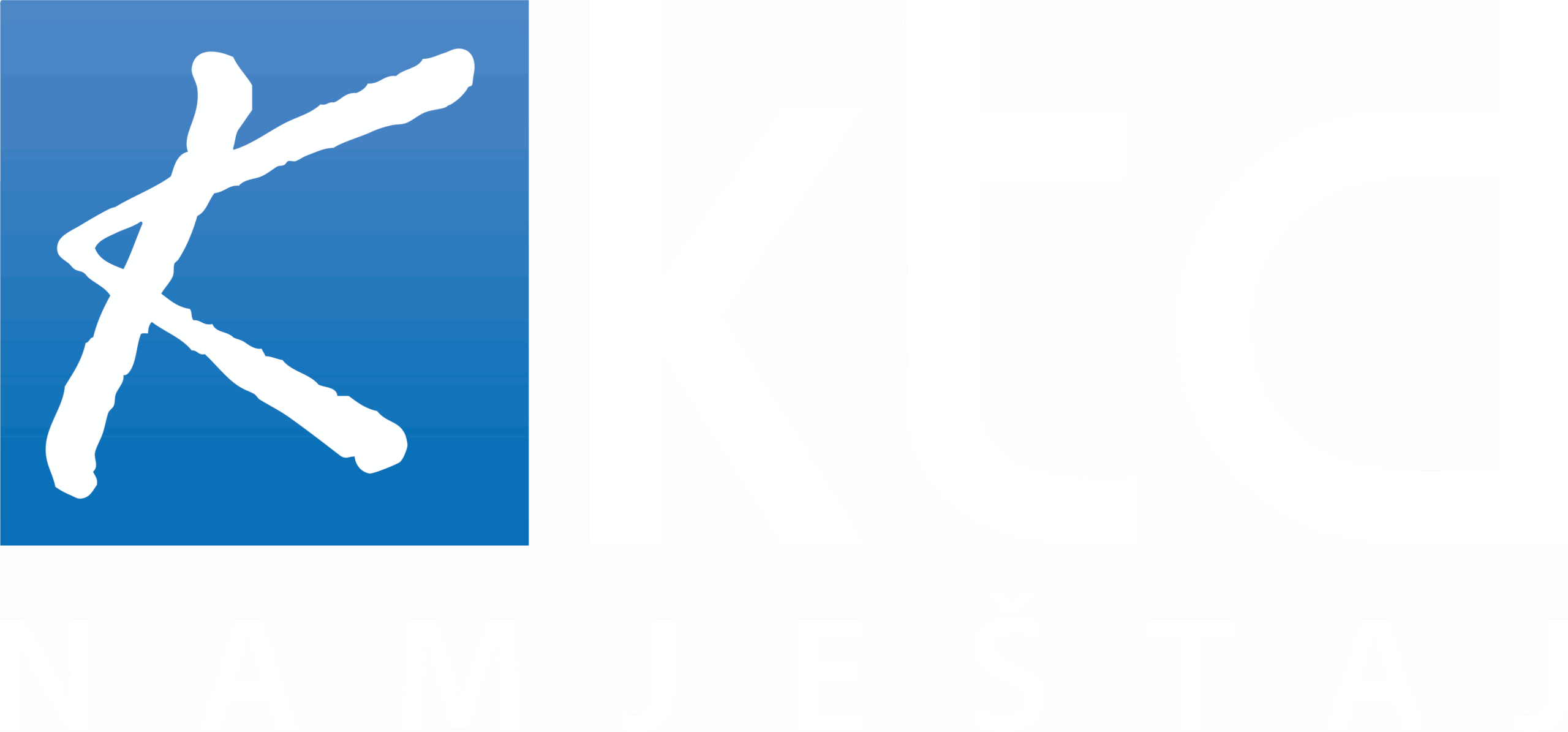 bijeli logo